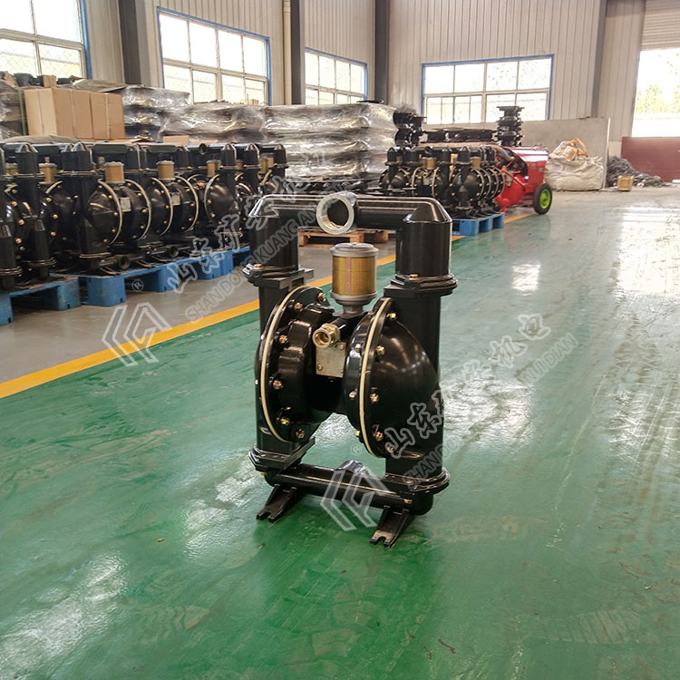 BQG320/0.3气动隔膜泵